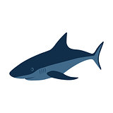 Shark, vector illustration