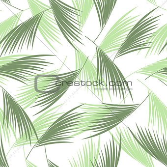 Tropical palm leaves seamless pattern. . Floral background. Vector illustration