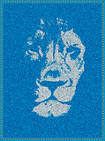 Lion on a jeans background