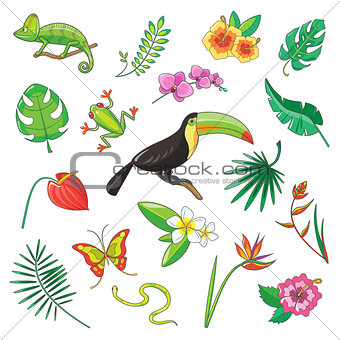 Tropical Plants and Animals Icon