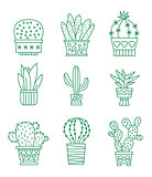 Set of vector cactus icons