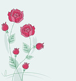 Vector red roses