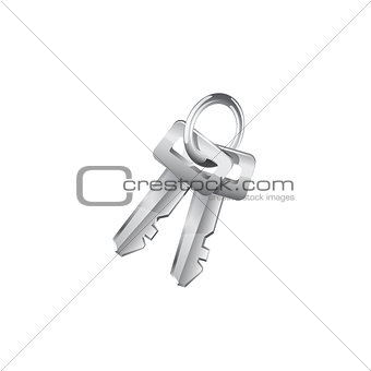 Keys. Vector icon