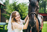 Beautiful bride and a horse in the park