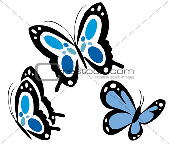 three butterflies 3