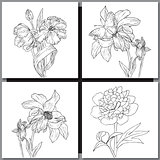 Set of hand drawn flowers sketches