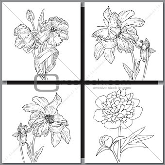 Set of hand drawn flowers sketches