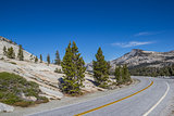 Tioga Pass road in Yosemite National Park