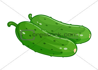 Couple cucumber vector illustration eps10 isolated white