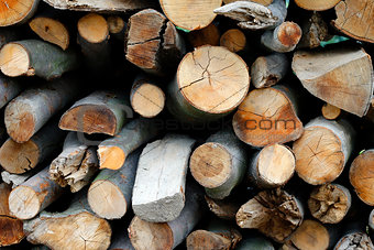 Heap of firewoods