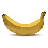 Realistic banana