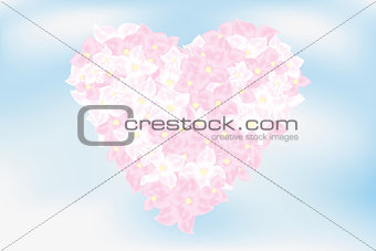 Heart of hortensia flowers