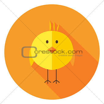Yellow Chick Circle Icon with long Shadow