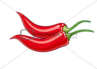Pair red chile pepper vector illustration eps10