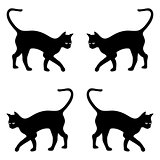 background with black cats