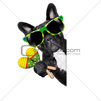 summer brazilian dog