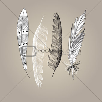 Set of bird feathers graphic