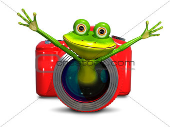 Frog in the camera