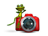 Frog on camera