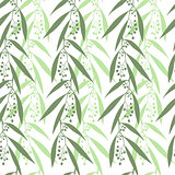 Seamless pattern branches of eucalyptus. Vector illustration.  Green floral background