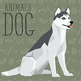 Vector Dogs Collection