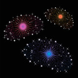 Set of  Colorful Fireworks