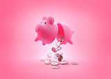 A broken Piggy Bank