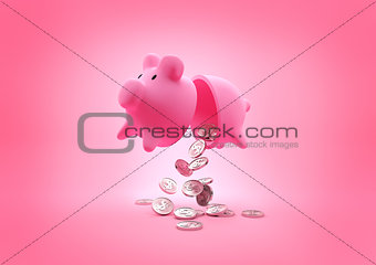 A broken Piggy Bank