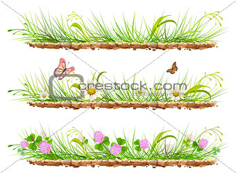 Set green grass on ground. Grass, flowers, clover and butterflies