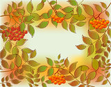 Frame from autumn leaves and rowan. EPS10 vector illustration