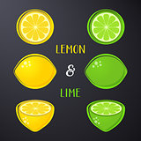 Vector lemon and lime illustrations