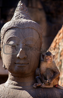 Crab eating macaque on Buddha statue