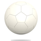 White soccer