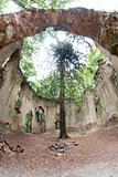 Ruins of the Baroque chapel of Saint Mary Magdalene