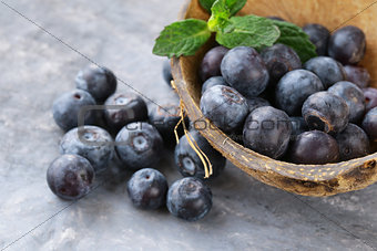 Natural organic berry ripe and juicy blueberries