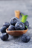 Natural organic berry ripe and juicy blueberries
