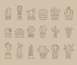 Plants and Cactuses in Pots. Linear Vector Set