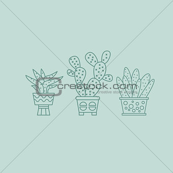 Plants and Cactuses in Pots. Linear Vector Set