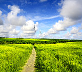 Wind turbines farm in field over cloudy sky