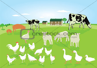 Animals in agriculture