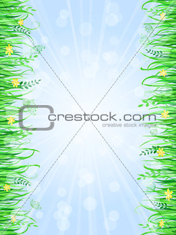 Grass Frame Background