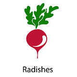Radishes icon