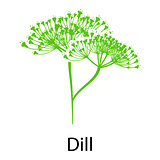 Dill icon 
