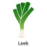 Leek onion icon