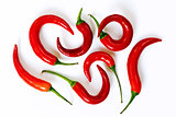 Chili pepper (also chile pepper or chilli pepper)