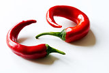 Chili pepper (also chile pepper or chilli pepper)