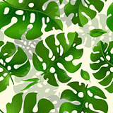 Seamless vector pattern with green exotic leaves