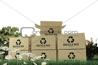 recycle boxes 
