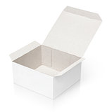 Opened cardboard box isolated on white