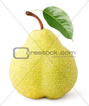 Yellow pear fruit with leaf isolated on white